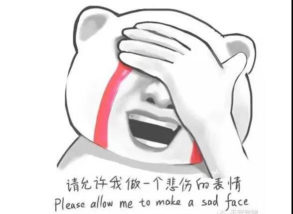 291304324066201600.jpg